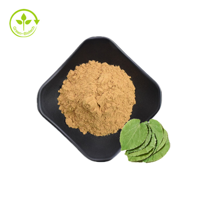 China-Lieferanten-horniger Ziege Epimedium-Auszug 5% Icariin mit freier Probe