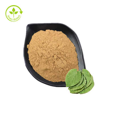 Ziegen-Unkraut-Auszug bester Preis Sagittatum pulverisieren horniger 10% 60% 98% Icariin Epimedium-Auszug
