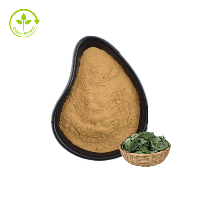 Anlagenbarrenwort-Auszug Epimedium Brevicornum Maxim Epimedium Sagittatum Extract Icariin pulverisieren horniges Ziegen-Unkraut 10%