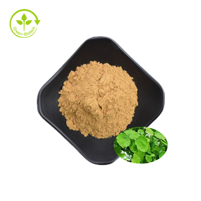 Epimedium-Auszug Icariin 50% 60% 80% 98% der hohen Qualität