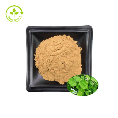 Epimedium-Auszug 98% Icaritin Honey Goat Weed Extract 98% Icaritin