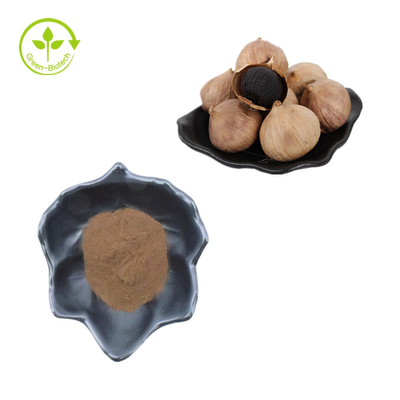 ISO-Hersteller-Organic Black Garlic-Auszug/reines schwarzes Knoblauch-Pulver-schwarzer Knoblauch P.E.