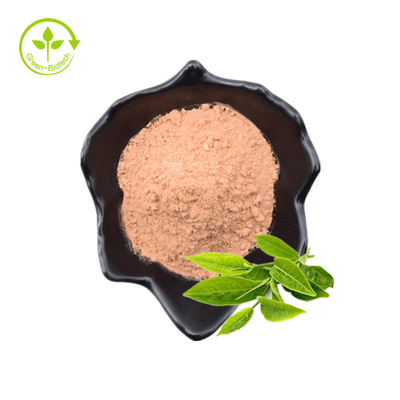 Massenfabrik-Versorgungs-pulverisieren reines grüner Tee-Auszug-Epicatechin 98% Egcg Tee-Polyphenol-grüner Tee-Auszug