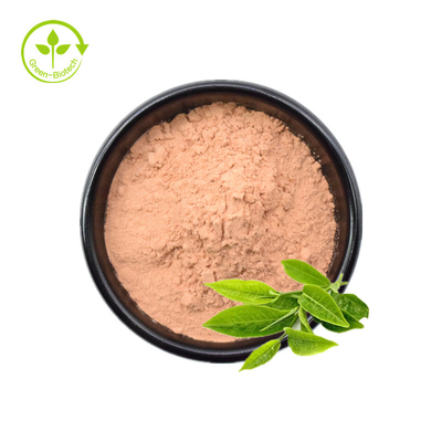 Massenfabrik-Versorgungs-pulverisieren reines grüner Tee-Auszug-Epicatechin 98% Egcg Tee-Polyphenol-grüner Tee-Auszug