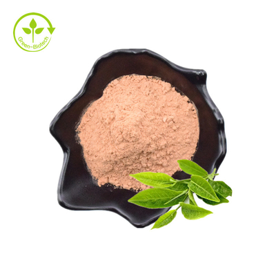 Tee-Polyphenol, EGCG, grüner Tee-Auszug-Pulver