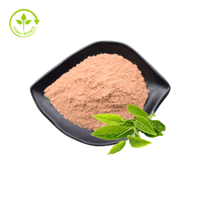 Massenpulver der Nahrungsmittelgrad-Grün-Teeblatt-Auszug-Polyphenol-98% des Katechin-80% Egcg 60%