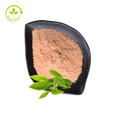 Reiner organischer grüner Tee-Auszug pulverisieren 98% Tee-Polyphenole EGCG