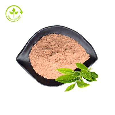 Reiner organischer grüner Tee-Auszug pulverisieren 98% Tee-Polyphenole EGCG