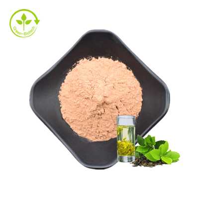 Grüner Tee-Auszug-Pulver/Katechine der Polyphenol-EGCG