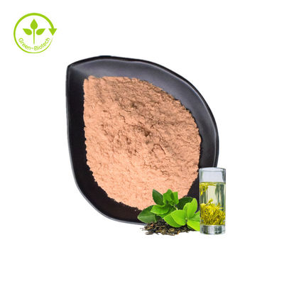 Grüner Tee-Tee-Polyphenol-Auszug-Pulver hat Antioxidanseffekt