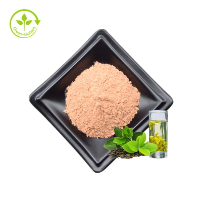 Tee-Polyphenol-Hersteller liefern heißes verkaufendes grüner Tee-Auszug-Polyphenol pulverisieren 90% Tee-Polyphenol