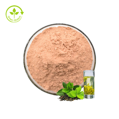 Tee-Polyphenol-Hersteller liefern heißes verkaufendes grüner Tee-Auszug-Polyphenol pulverisieren 90% Tee-Polyphenol