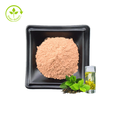Reines organisches sofortiges Polyphenol-grüner Tee-Auszug-Pulver der hohen Qualität 100%