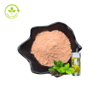 Hohen Qualität des Fabrik-extrahieren natürliche grüne Teeblätter der Großhandelsbetriebsblatt-gesunden 60% Instantpulver