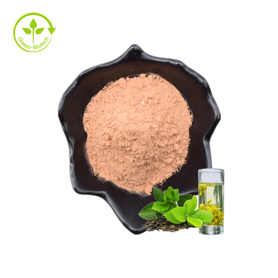 Grüner Teeblatt-Auszug pulverisieren Katechin der 98% Tee-Polyphenol-90% EGCG 40%