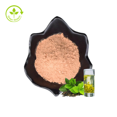 ISO freie Beispielbiokost-wasserlöslicher organischer grüner Tee-Auszug des Augenblick-grüner Tee-Pulver-20%Polyphenols