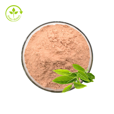 Grüner Tee-Auszug-Pulver der grüner Tee-Auszug-Polyphenol-50% 98%