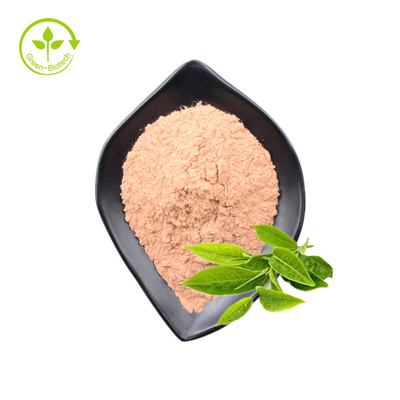 Grüner Tee-Auszug-Pulver der grüner Tee-Auszug-Polyphenol-50% 98%