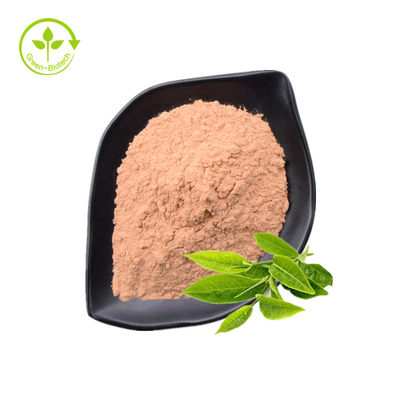 Tee-Polyphenol, EGCG, grüner Tee-Auszug-Pulver