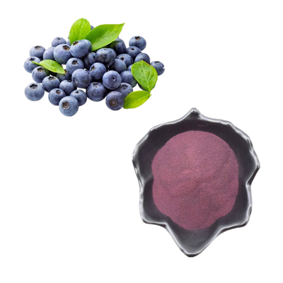 Reines natürliches Frucht-Pulver-Blaubeerpulver-Auszug-Anthocyanin-Heidelbeerauszug-Pulver