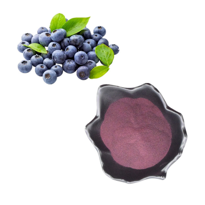 100% reines Konzentrat gefriertrocknete Frucht-frisches Blaubeer-Juice Powder Blueberry Extract Bulk-Blaubeerpulver