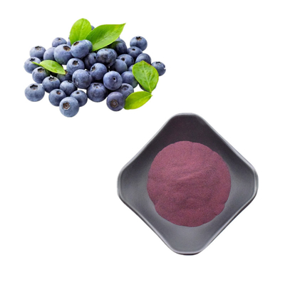 Natürlicher Blaubeerauszug pulverisieren wilder organischer gefriertrocknetes Blaubeerpulver Bluebery Auszug