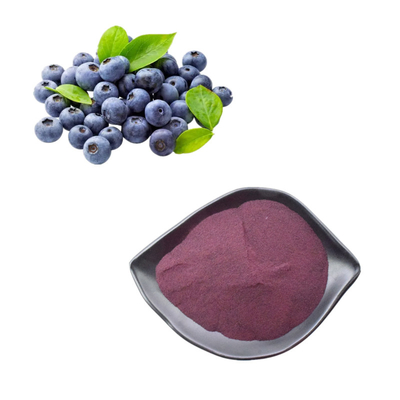 Pflanzenextrakte Blaubeerenpulver 25% Anthocyanin-Extraktion