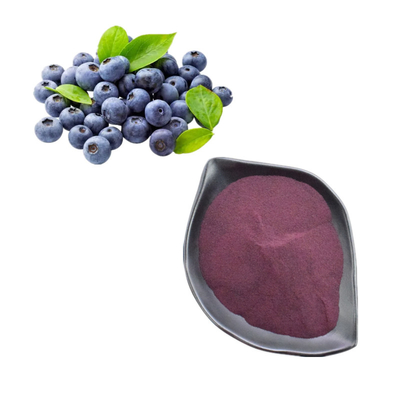 Rein natürlicher Blaubeerextrakt 25% Anthocyanin Blaubeerextraktpulver
