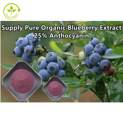 Anthocyanin 25% Blaubeerenpulver Massenmasse Naturpflanzenextrakte Pulver