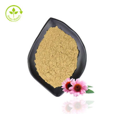 Hochwertiger Echinacea-Extrakt Purpurea Bio-Echinacea-Extrakt-Pulver