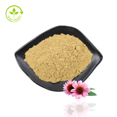 Echinacea-Kräuterextrakt, Echinacea-Purpurea-Extrakt, Polyphenol-Echinacea-Extrakt