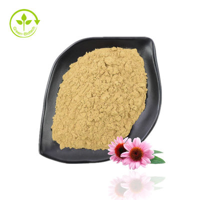 Hochreines Echinacea-Purpurea-Extrakt-Pulver 10–40 % Echinacosid