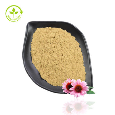 Hochreines Echinacea-Purpurea-Extrakt-Pulver 10–40 % Echinacosid