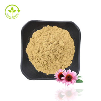 Natürliche Polyphenole 4 % Cichoriensäure 1 % 4 % Echinacea Purpurea-Extrakt