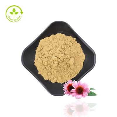 Natürliche Polyphenole 4 % Cichoriensäure 1 % 4 % Echinacea Purpurea-Extrakt