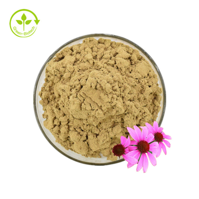 ISO-Zertifikat 100 % natürlicher Echinacea-Extrakt Echinacea Purpurea-Extrakt 10 % Polyphenol