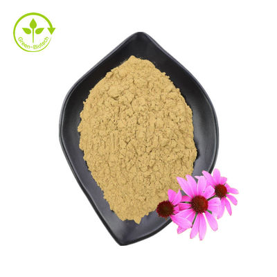 GMP-Standard, hochwertige Polyphenole, Echinacea Purpurea-Pulver, Echinacea Purpurea-Extrakt