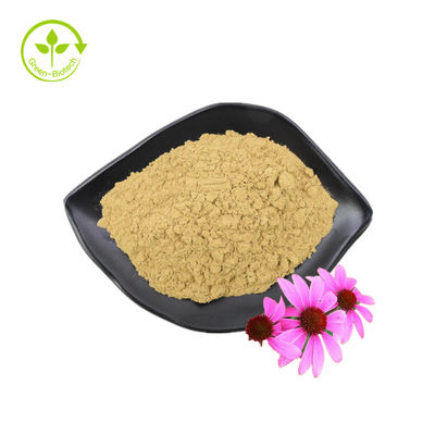 GMP-Standard, hochwertige Polyphenole, Echinacea Purpurea-Pulver, Echinacea Purpurea-Extrakt