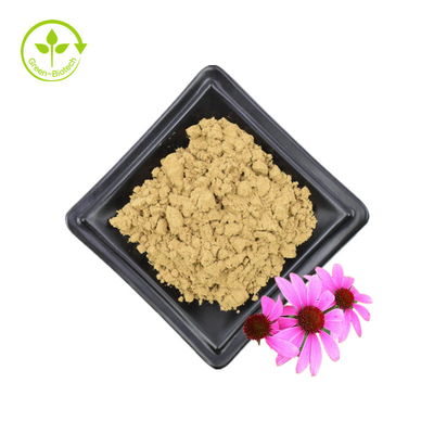 Großpackung Echinacea Purpurea-Extrakt 4 % Polyphenol 2 % Chicorinsäure