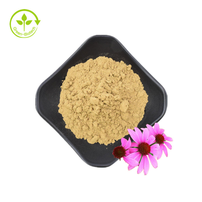 Hochwertiger Echinacea Purpurea-Wurzelextrakt, 10 % Polyphenole, Echinacea Purpurea-Extrakt, Echinacea-Extrakt