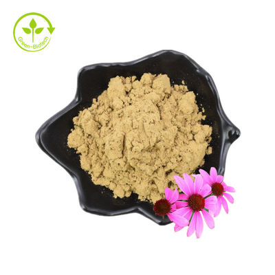 Reines 4%iges Chicorinsäure-Echinacea-Purpurea-Blütenextrakt-Pulver. Echinacea-Purpurea-Blütenextrakt