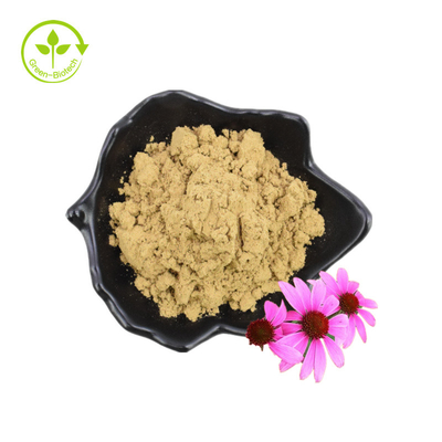 Bio-Polyphenol-Trockenpulver-Blumensamen-Echinacea-Purpurea-Extrakt