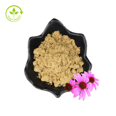 Reine Cichoriensäure 6 % Bulk-Pulver Echinacea Purpurea-Extrakt
