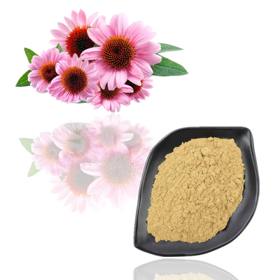 Nahrungsmittelgrad-Pflanzenauszug-Pulver Echinacea Purpurea-Blumen-Auszug