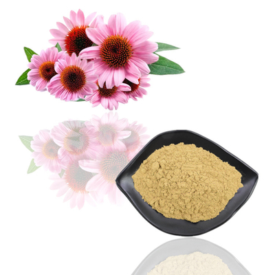 Nahrungsmittelgrad-Pflanzenauszug-Pulver Echinacea Purpurea-Blumen-Auszug