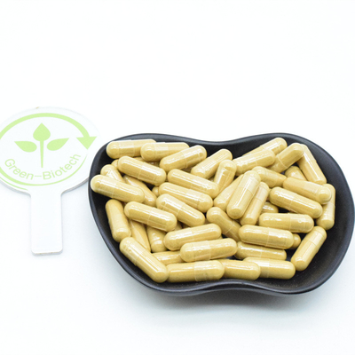 Natürliche Panax Sibirianische koreanische Rote Ginseng Wurzel Extrakt 10% 20% 80% Ginsenoside Pulver