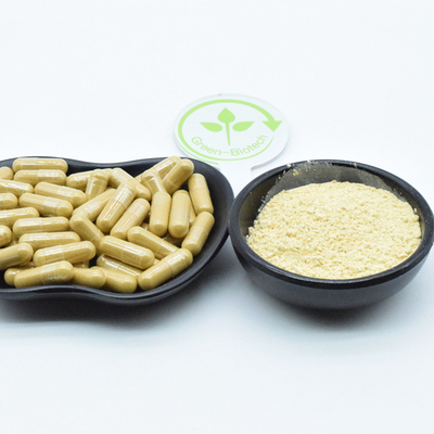 Pflanzliche getrocknete Bio-Panax Wildchinesische Ginseng-Samen Produkt Wurzel-Gensing-Pulver