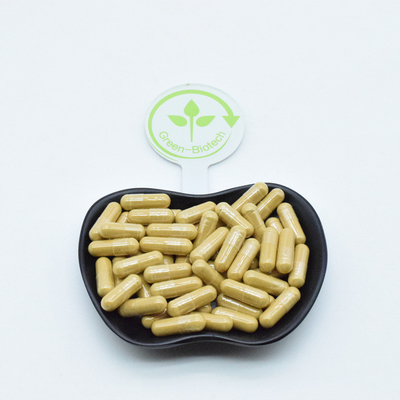 Natürlicher Ginsengwurzextrakt Kapseln Pulver Getränk Kaffee Tee Samen Panax Ginseng