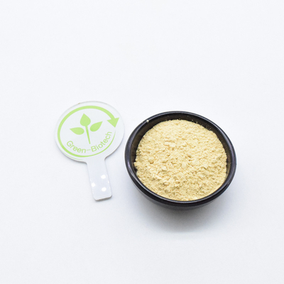 OEM-Kapseln für pflanzlichen Ginseng mit eigener Marke