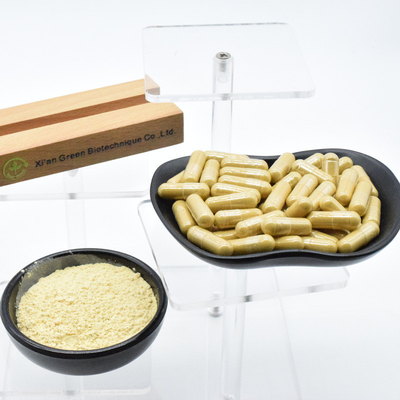 100% Naturpflanzenextrakt Ginseng-Extraktpulver zur Stärkung der Lebensenergie